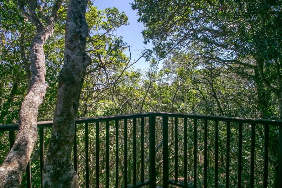 5 Bedroom Property for Sale in Pezula Golf Estate Western Cape